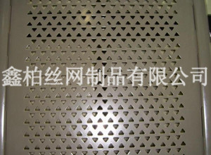 防護(hù)沖孔網(wǎng)1.jpg